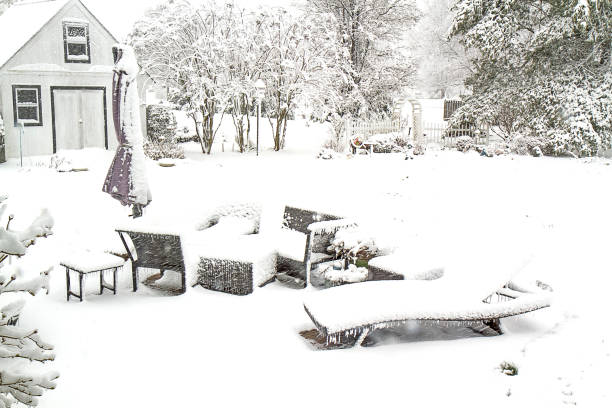 istock Snow Scenes during Blizzard of Trees 936953102