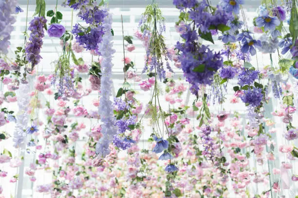 Purple and Pink Artificial Flowers on Ceiling in Walkway