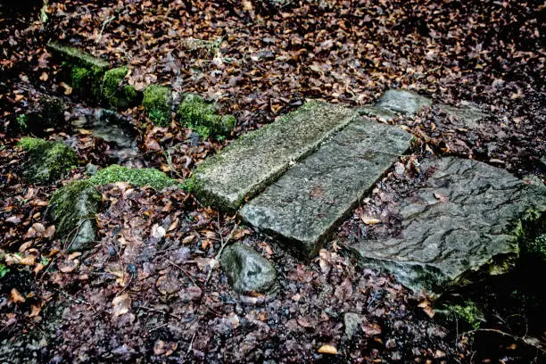 Photo of Leaf litter near a small stone bridge