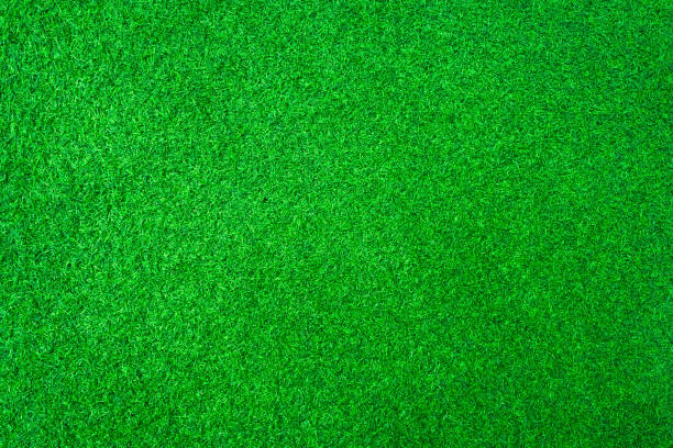 istock Artificial green grass or sport field texture background. 936966314