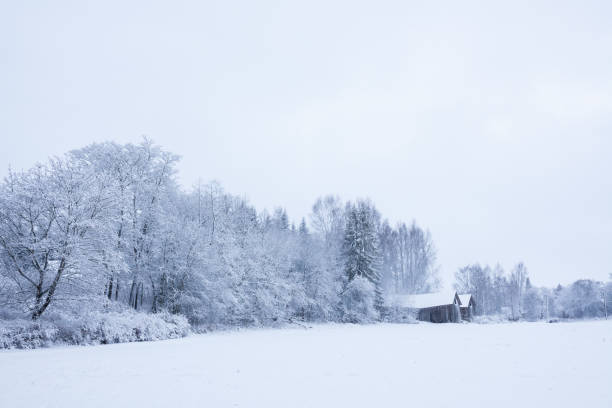 istock Snowy landscape countryside 936972170