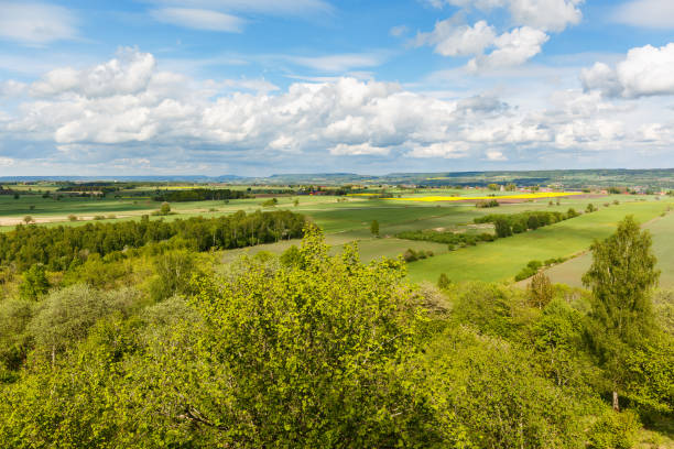 istock Tree top view of a rural landscape with fields and horizons 936988226