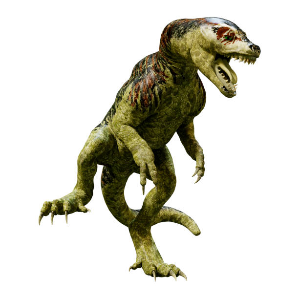 istock 3D illustration dinosaur Tyrannosaurus hatchling on white 936999606