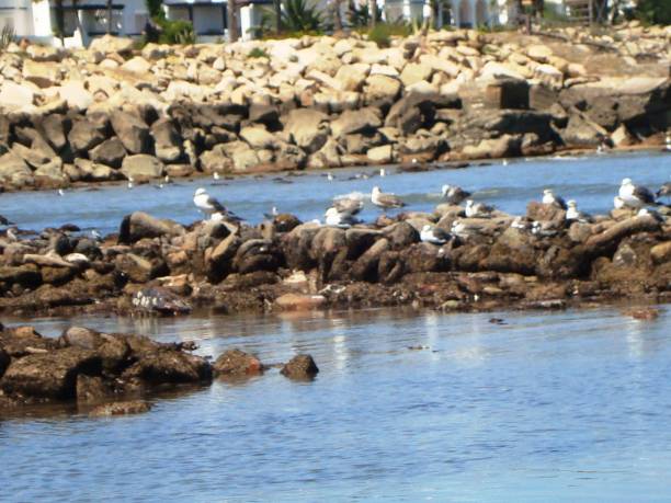 istock MARINABLANCA/DAR BOUAZZA/MOROCCO 936999650