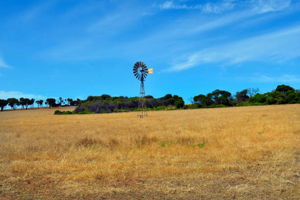 istock Australia, WA, Agriculture 936999660