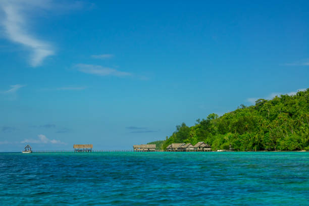 istock Island Covered with Jungle and Huts on the Water 937006316