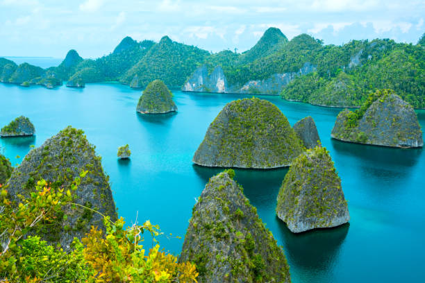 istock Small Tropical Islands Overgrown with Forest 937006318