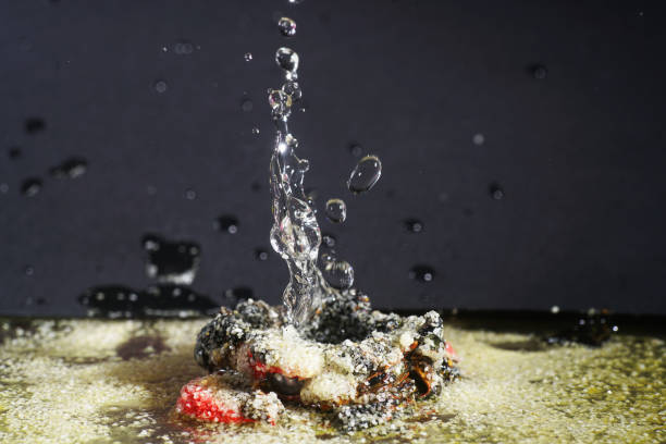 istock Imaginative sculptures of water droplets 937006368