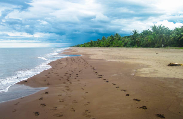 istock Costa Rica's Caribbean Coast 937014060