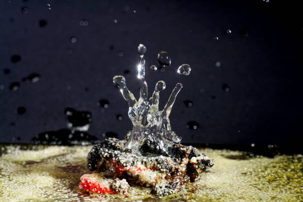 istock Imaginative sculptures of water droplets 937017040