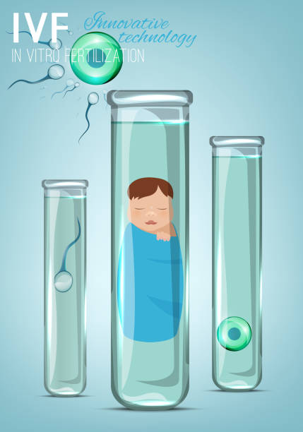 illustrazioni stock, clip art, cartoni animati e icone di tendenza di concetto di fecondazione in vitro - human sperm pregnancy test artificial insemination human pregnancy