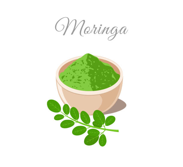 illustrazioni stock, clip art, cartoni animati e icone di tendenza di polvere di moringa in ciotola. piante e foglie - nutritional supplement herbal medicine pill nature