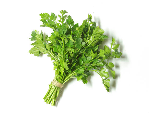 istock Fresh parsley isolated on white background. Top view. 937018898