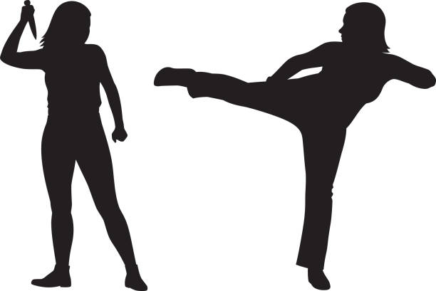 ilustrações de stock, clip art, desenhos animados e ícones de two women fighting silhouettes - karate kickboxing martial arts silhouette