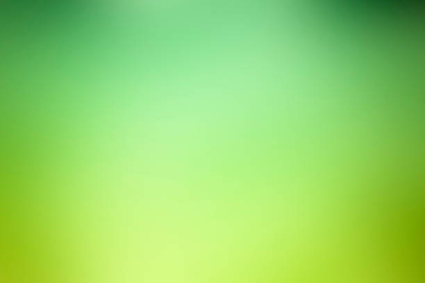Abstract green defocused background - Nature stock photo
