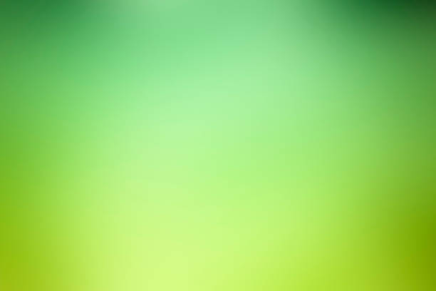 abstract green defocused background - nature - tranquil scene color image photography nobody imagens e fotografias de stock