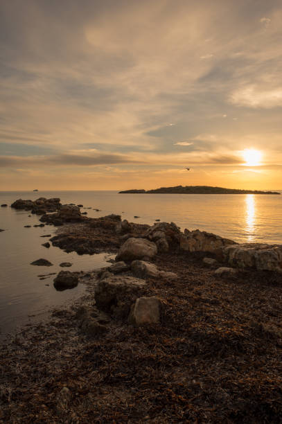 istock Cala de Sal rossa at sunrise in Ibiza 937025760
