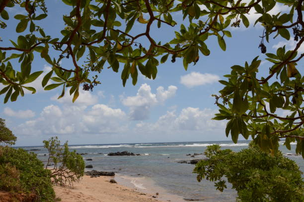 istock Views of Kauai 937029908