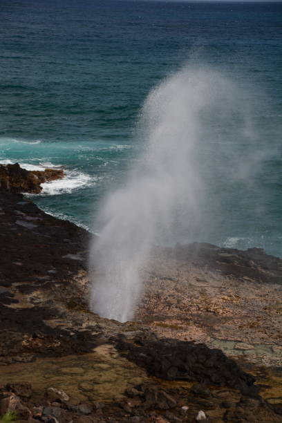 istock Views of Kauai 937031252