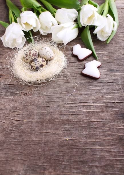 istock spring tulips, chocolate bunny and quail eggs in the nest 937031406