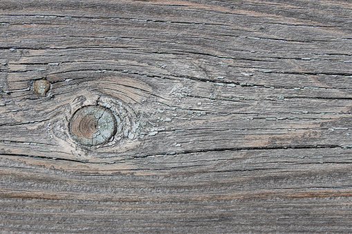 Texture of the old weathered knotty board