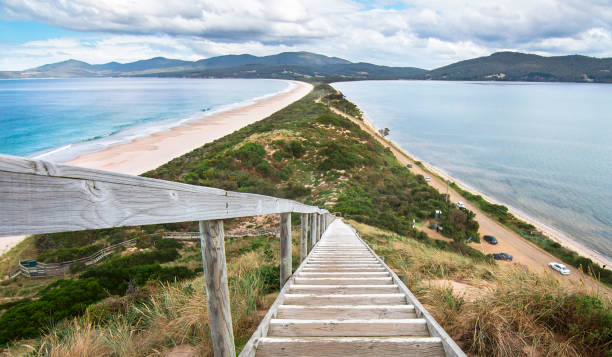 Staircase and Isthmus on Bruny Island, Tasmania Looking down a staircase at a very narrow isthmus with a road along it on Bruny Island, Tasmania. tasrail stock pictures, royalty-free photos & images