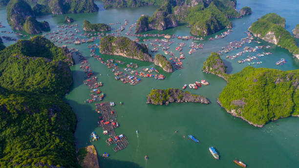 istock Cat Ba island from above. Lan Ha bay. Two Maples, Vietnam 937037686