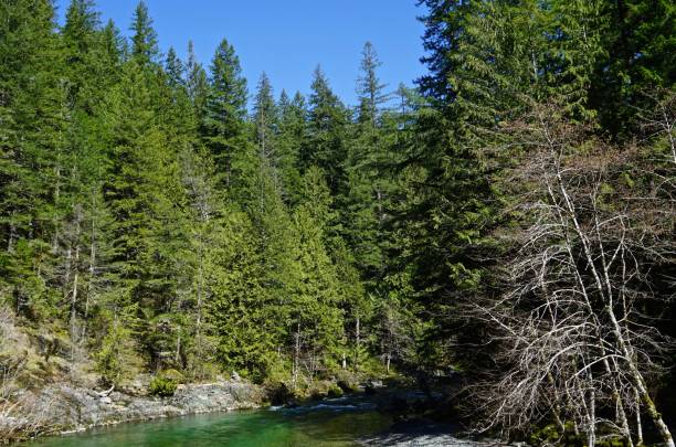 istock Little North Santiam River Blue Sky 937038088