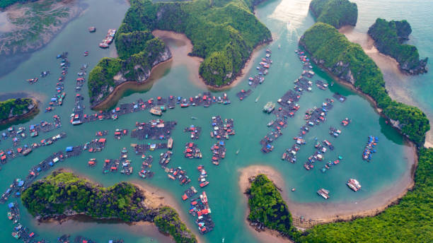 istock Cat Ba island from above. Lan Ha bay. Two Maples, Vietnam 937038130