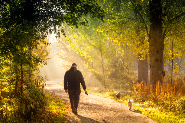 istock Man walking his dog in the forest 937039944