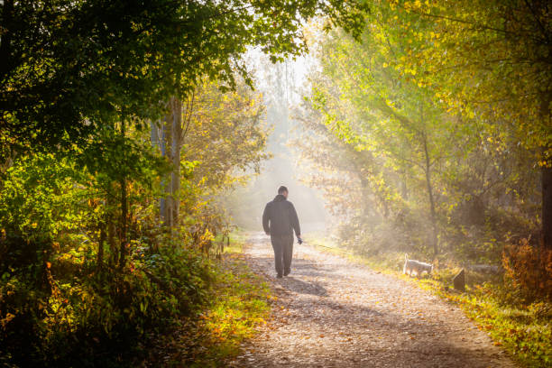 istock Man walking his dog in the forest 937040846