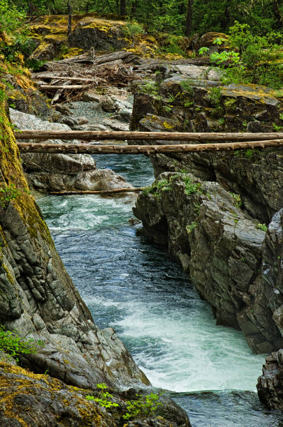 istock Englishman River Falls Provincial Park 937041790