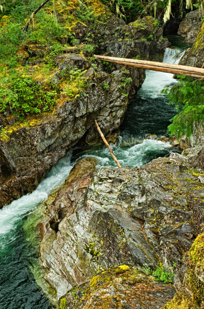 istock Englishman River Falls Provincial Park 937041876