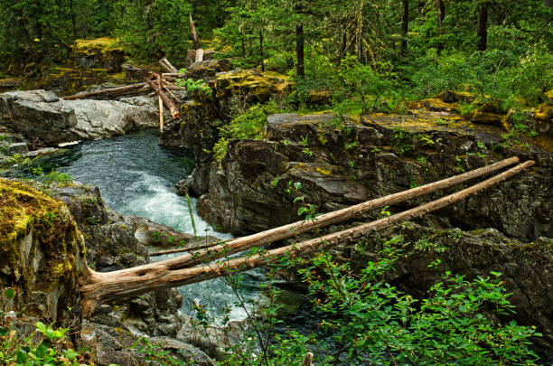istock Englishman River Falls Provincial Park 937041938