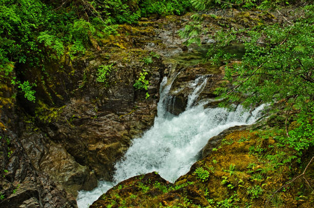 inglês river falls provincial park - englishman river falls - fotografias e filmes do acervo
