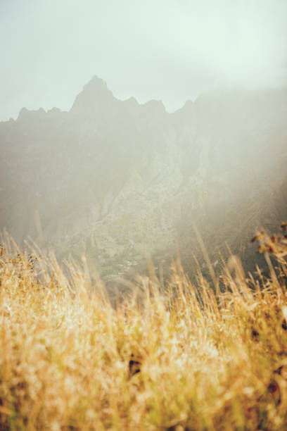 istock Sunlight diffused by fog fall over dried yellow grass. Sharp mountain ridge silhouette on the background. In a valley on Santo Antao Cape Verde 937045068