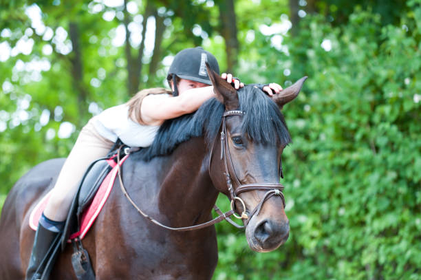jovem adolescente menina-hipismo abraçando seu cavalo favorito do frend-castanha. - frend - fotografias e filmes do acervo