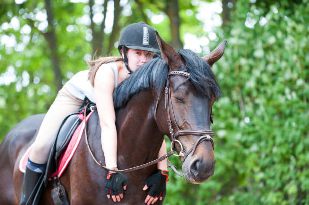 young teenage lady-equestrian embracing her favorite frend-chestnut horse. - frend imagens e fotografias de stock