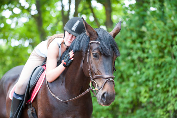 jovem adolescente senhora-hipismo abraçando seu cavalo favorito do frend-castanha. - frend - fotografias e filmes do acervo