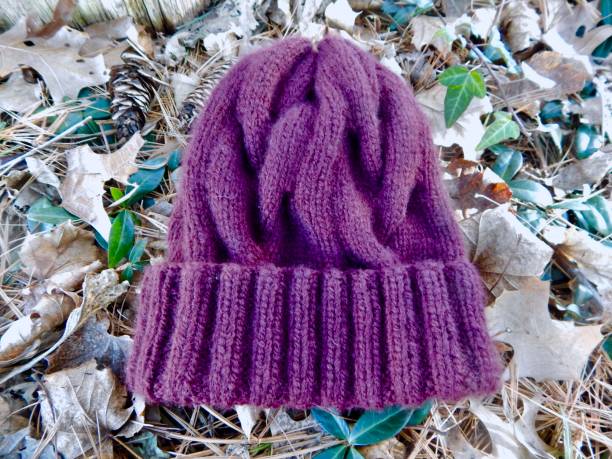 istock Hand-knitted cable beanie with ribbed brim 937057734