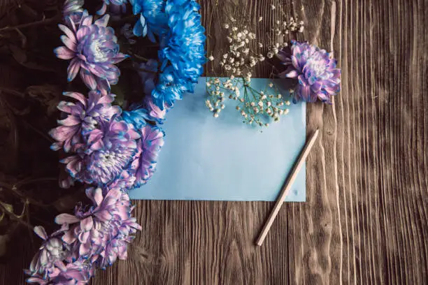 Photo of Violet, blue and pink chrysanthemum. A bouquet of chrysanthemums on wooden background with copy space. Chrysanthemum Flower Close up.