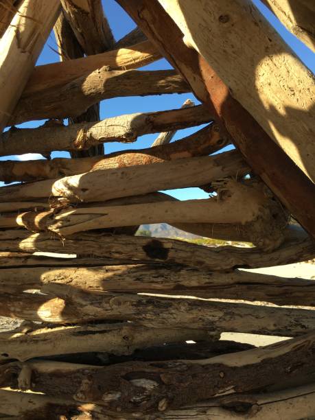 istock Driftwood built in the sand in Carpinteria Califo 937060814