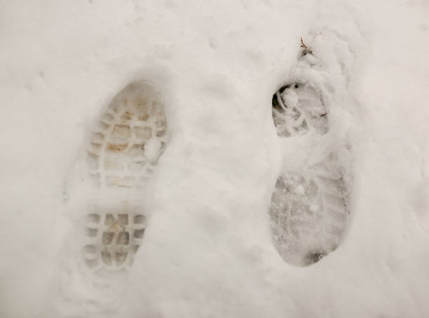 istock Footprint in Snow 937064046