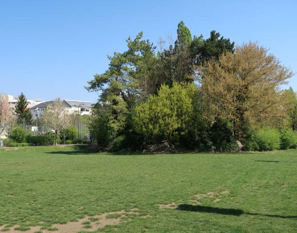istock Public park of Grenoble 937064154