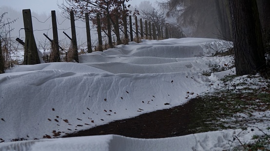 Snow drifted through a wire fence and past wooden fence posts onto a path by strong winds at Pisford Reservoir. Mature tree's lining the snowy path and grey sky's above.