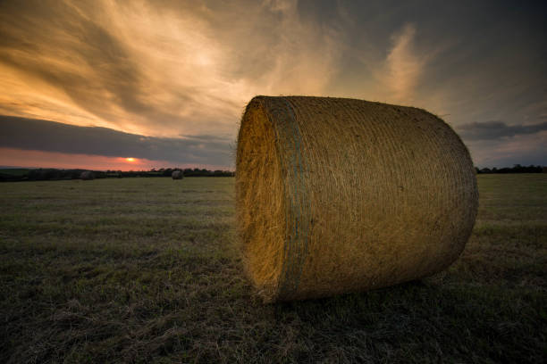 istock Farmland at harvest time in UK 937070218
