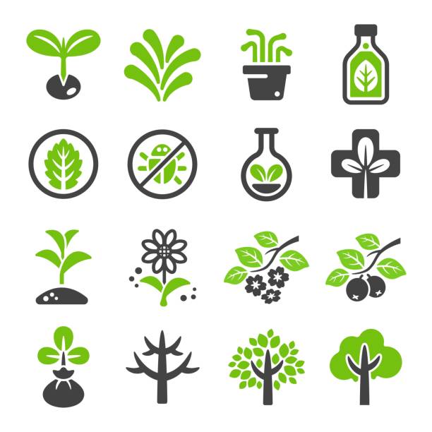 plant icon plant icon set plantation stock illustrations