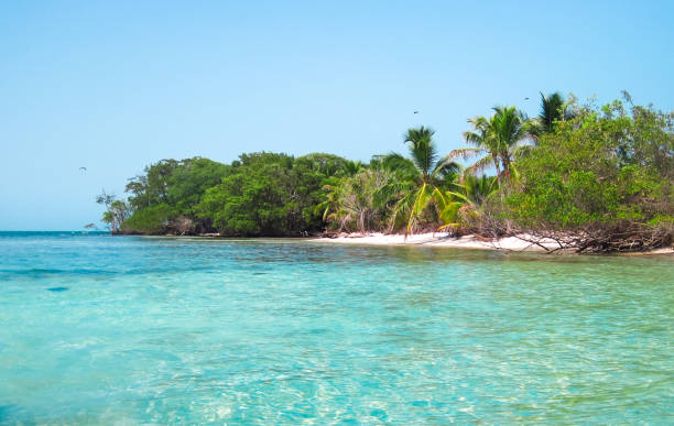 istock Tropical Caribbean White-sand Island in Belize 937073656