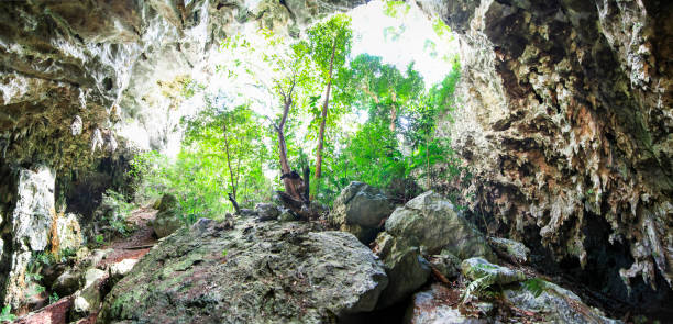 istock Looking Out From a Rocky Cave in Belize 937074066