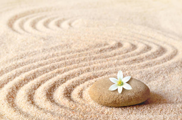 istock stones and white flower on the sand with circles 937074444